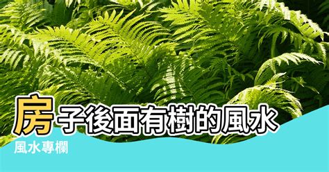 房子後面有排水溝|房子後面挖水溝風水如何？房後有水溝對風水影響大嗎？